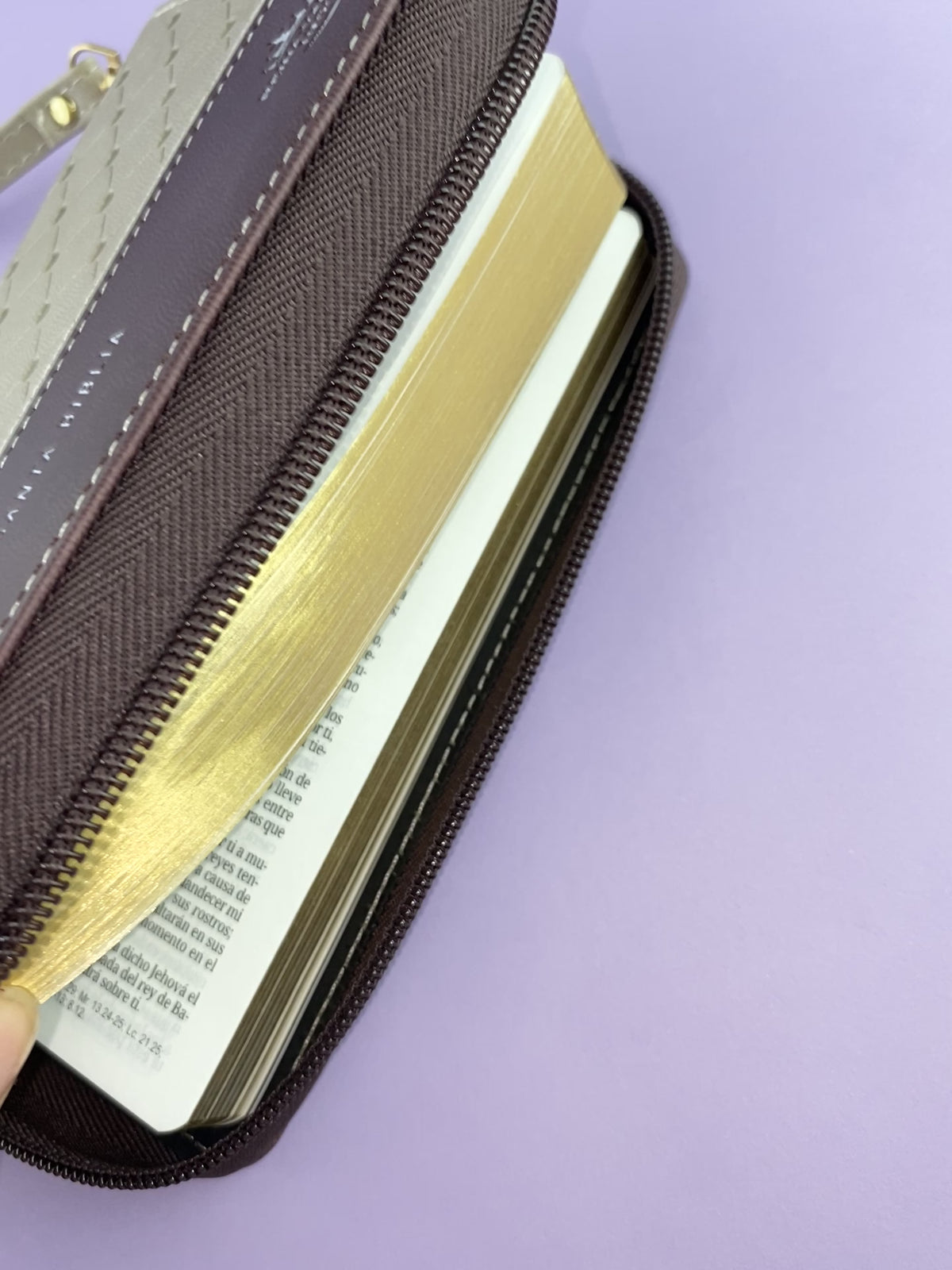 Biblia tipo chequera rvr 1960 con cierre sin índice café-crema