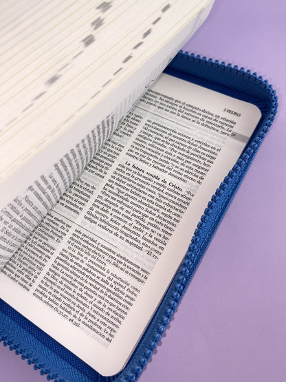 Biblia una historia de amor hormiguitas azul