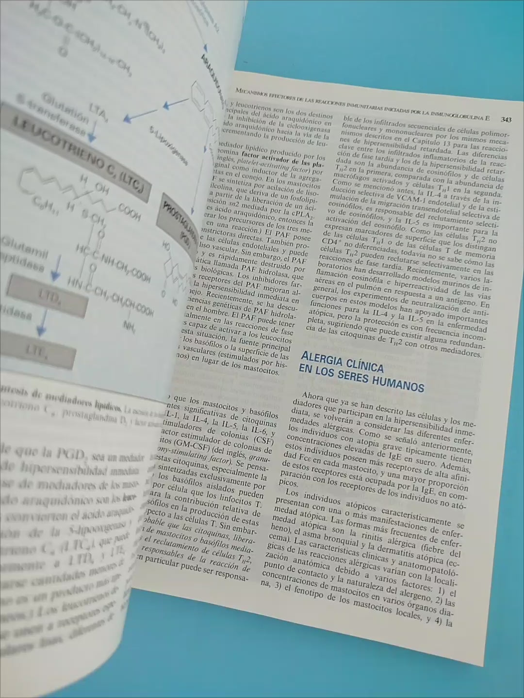 Inmunología celular y molecular tercera edición