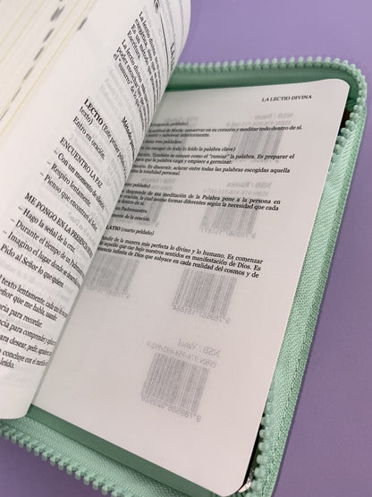 Biblia una historia de amor hormiguitas verde menta