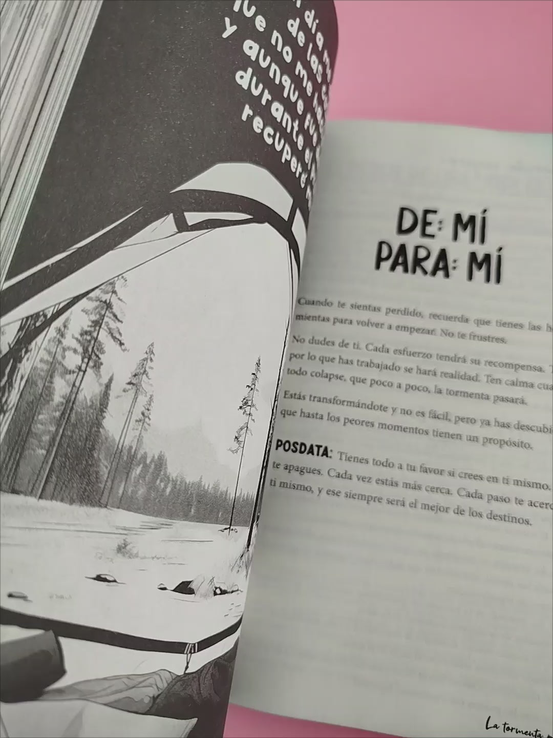 De: Mí para: Mí La tormenta pasará