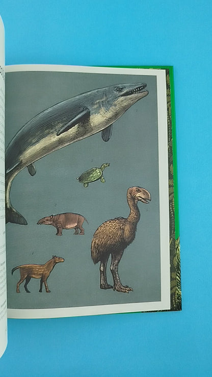 Dinosaurium (Edición Junior)