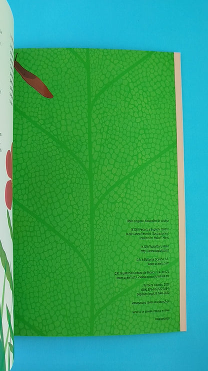 Naturalistas en la cocina: Una guía para pequeños científico