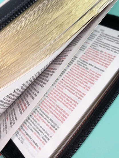 Biblia tipo chequera rvr 1960 con cierre sin índice coral-gris