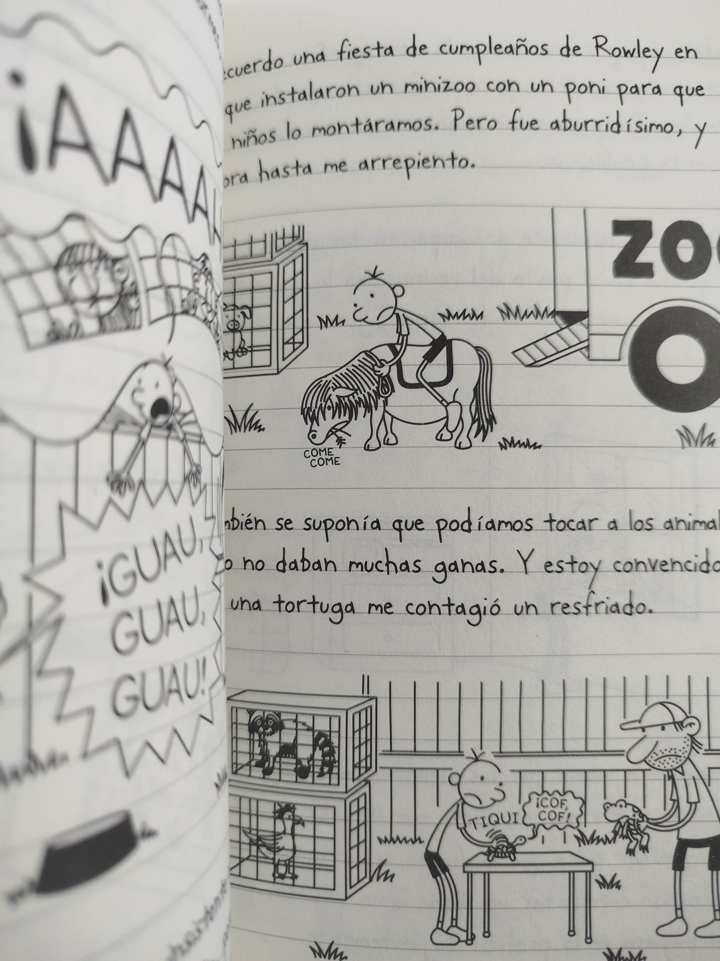 Diario De Greg Aguafiestas