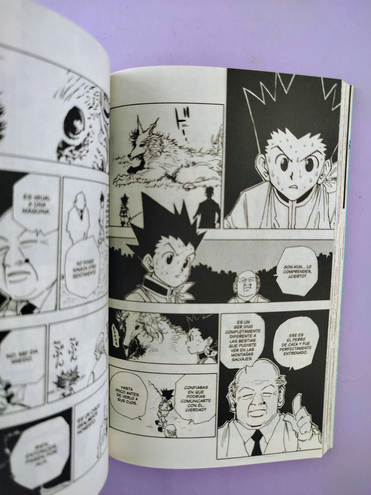 Hunter x hunter N.5 by Yoshihiro Togashi