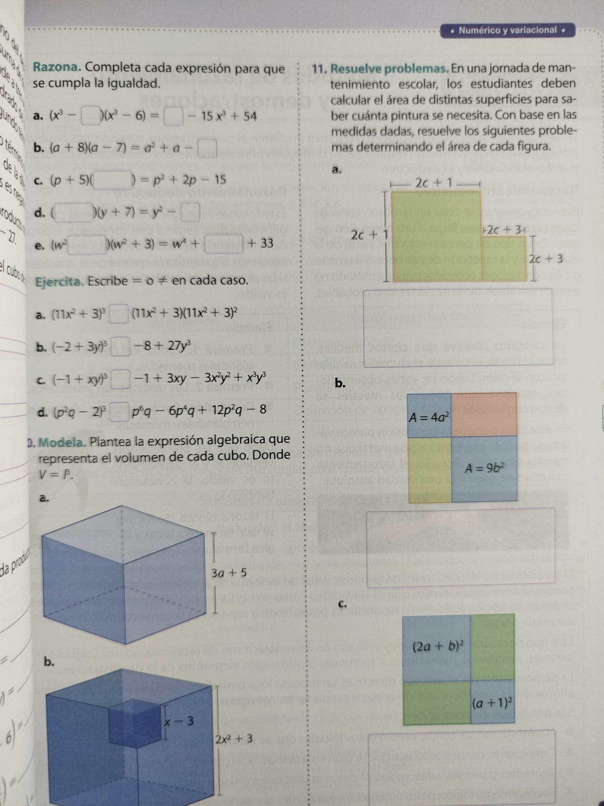 Ideas matemáticas 8 by varios