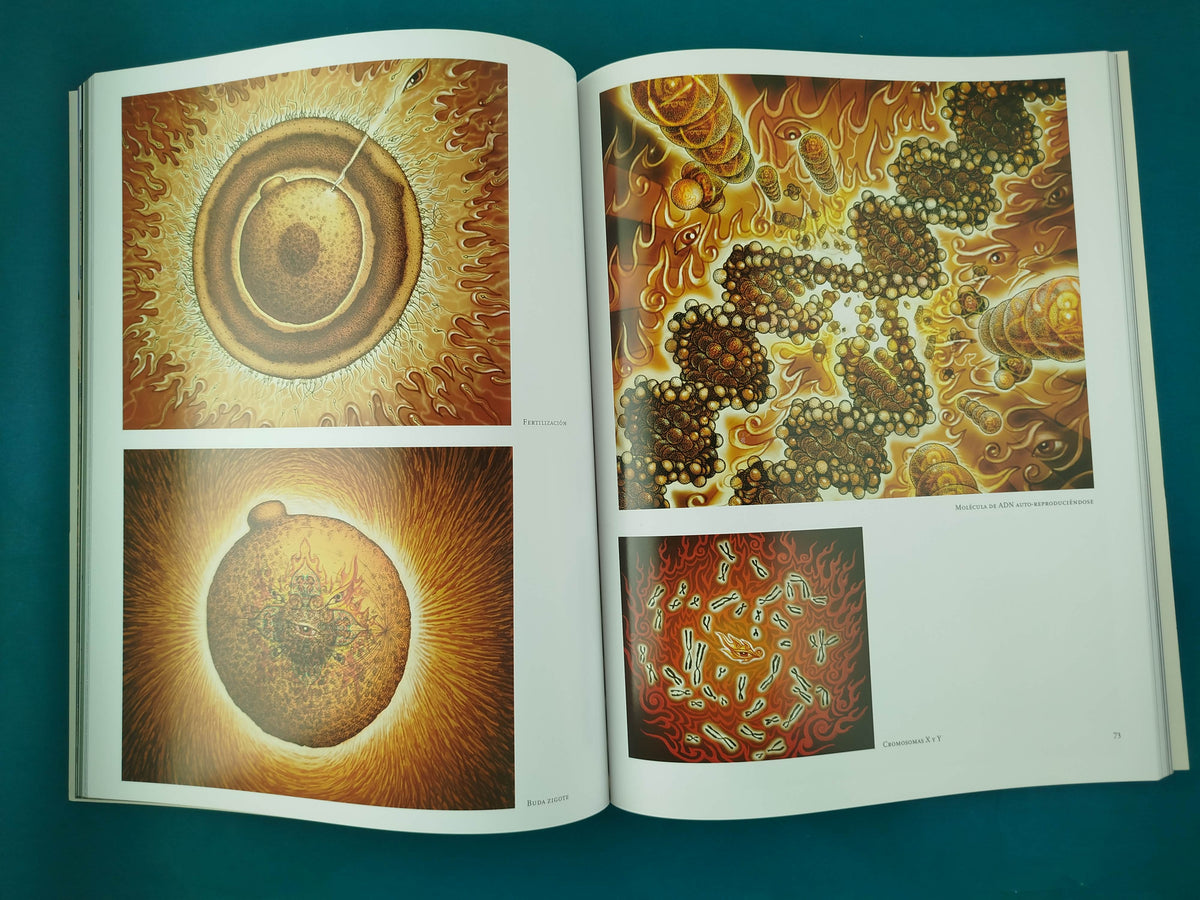 Transfiguraciones by Alex Grey