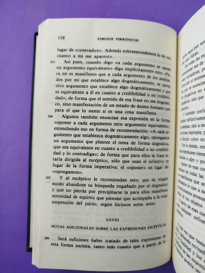 Esbozos pirrónicos