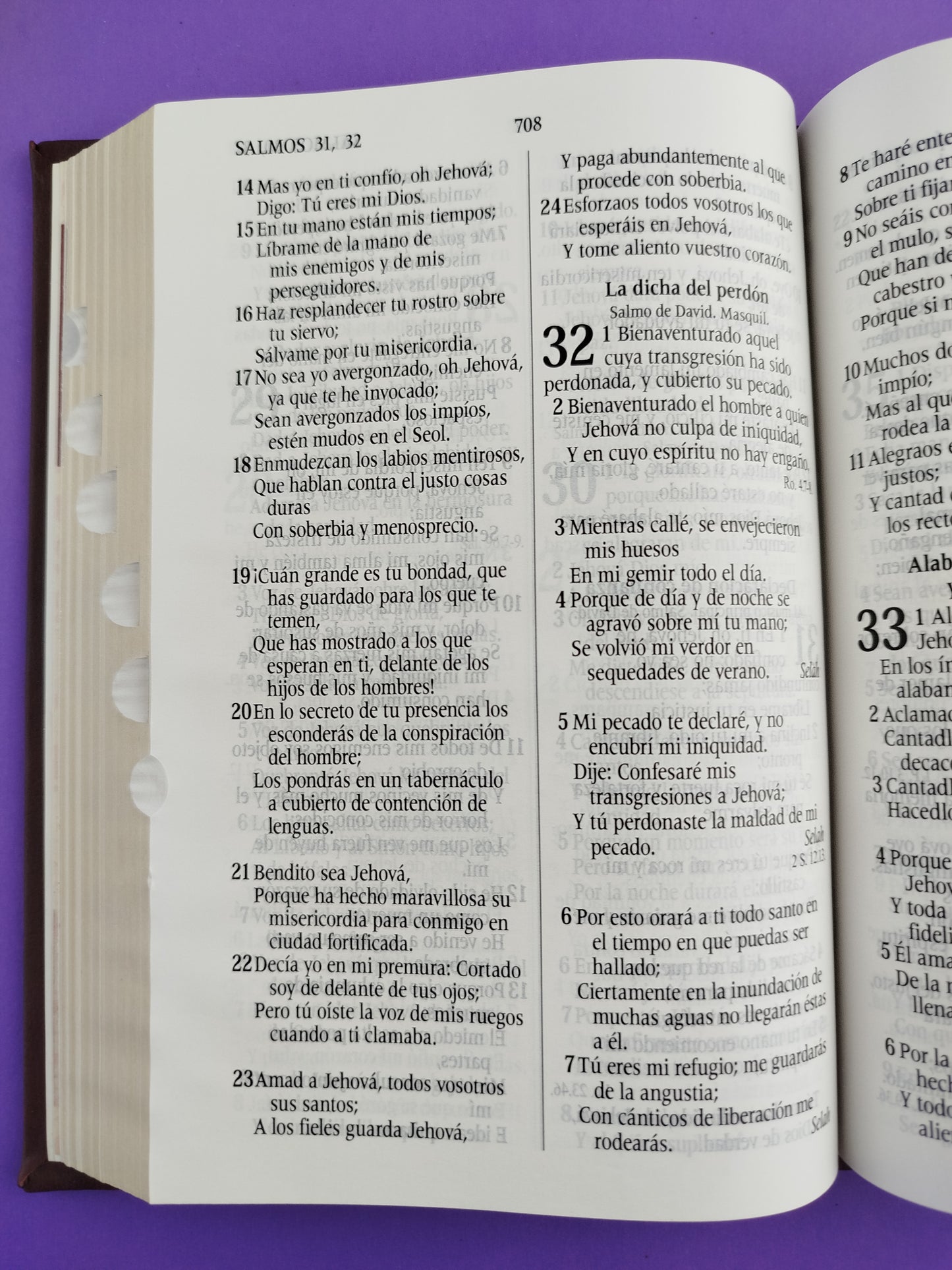 Santa biblia del oso conmemoración con índice