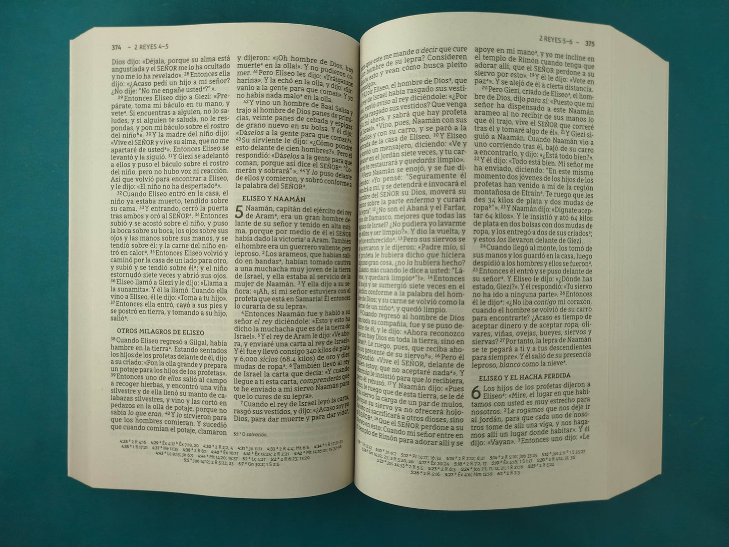 Santa Biblia Nueva Biblia de las Américas Letra Grande Tapa Rústica