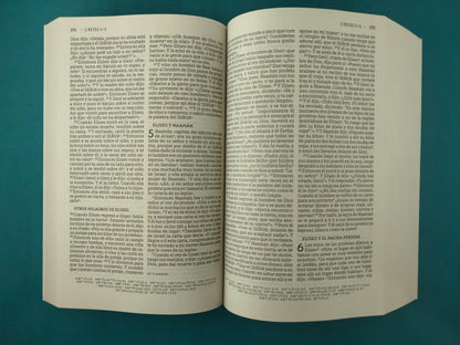 Santa Biblia Nueva Biblia de las Américas Letra Grande Tapa Rústica