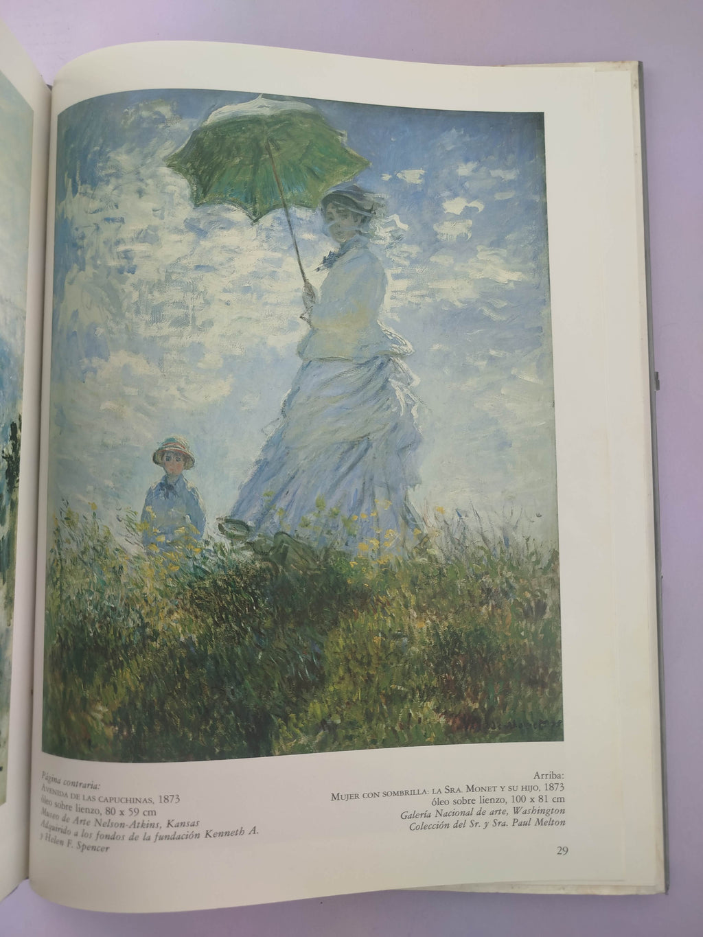 Monet by NB Sinclair