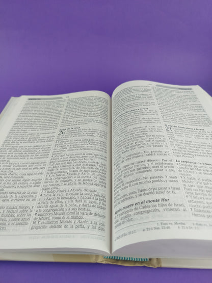 Biblia del discipulo rvr 1960 tapa dura by Reina Valera 1960