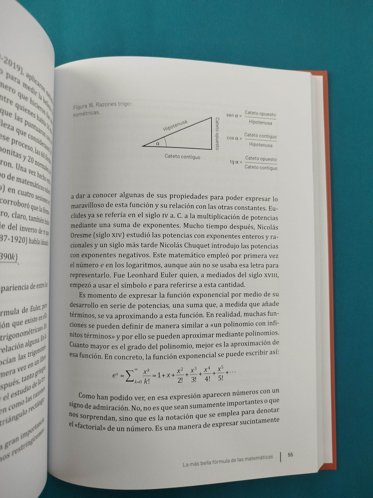 Más allá de la razón áurea by Fernando Blasco