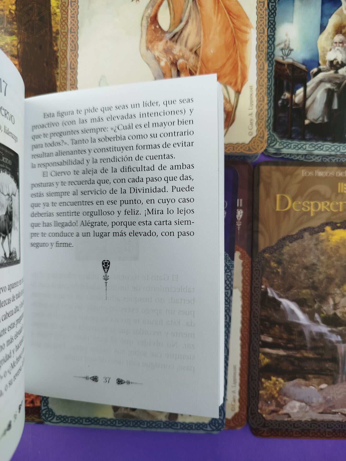 La sabiduría de Ávalon. 52 cartas oráculo y libro guía (caja)