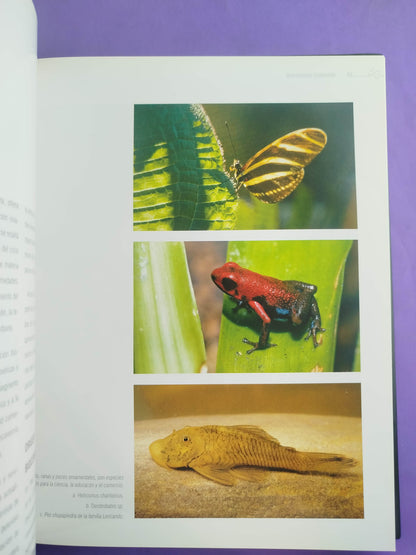 Biocomercio Sostenible: Biodiversidad y Desarrollo En Colombia by José Antonio Gómez