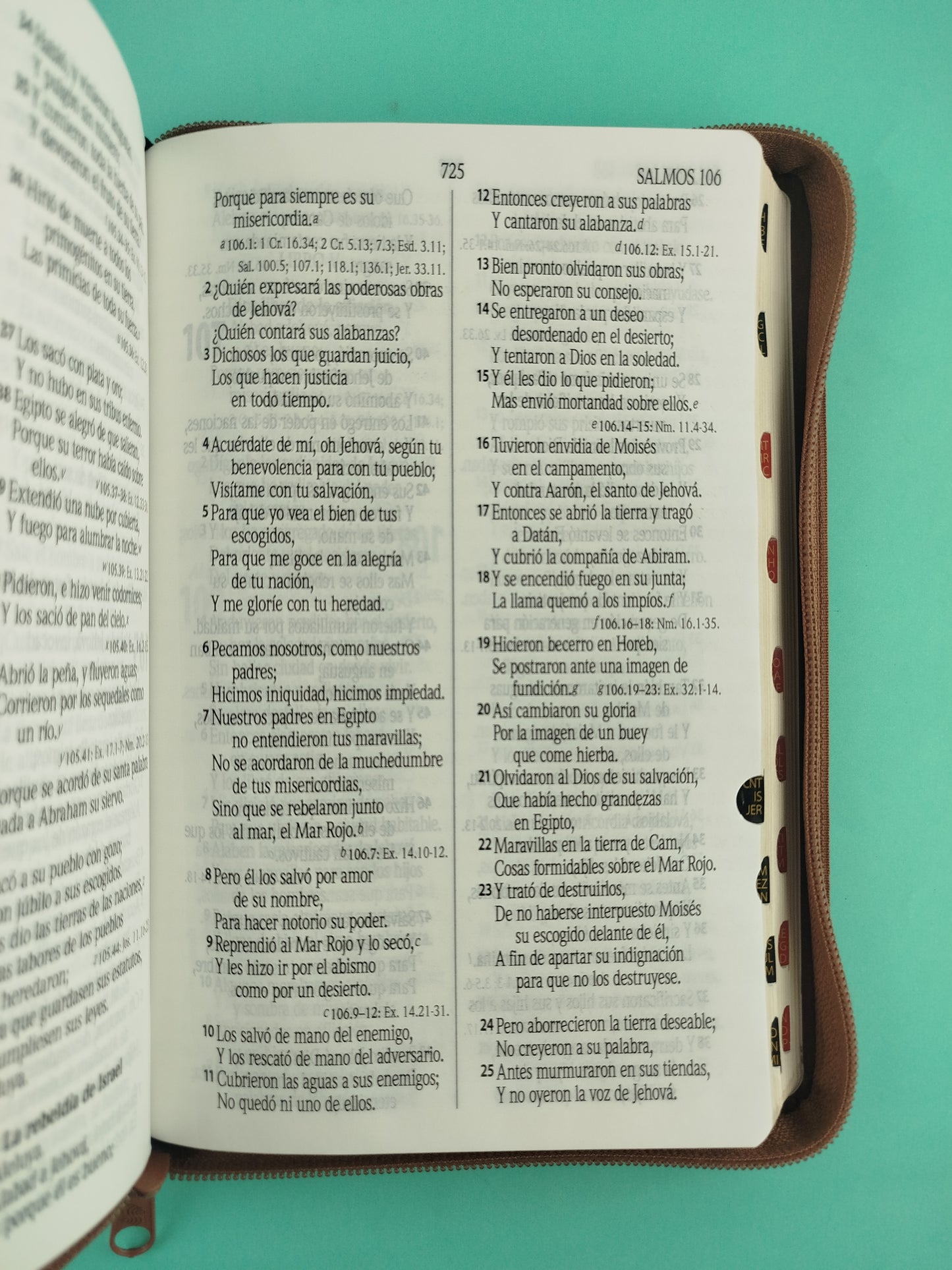 Biblia rvr 1960 negra-marrón con cierre e índice
