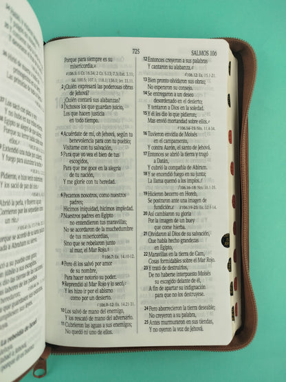 Biblia rvr 1960 negra-marrón con cierre e índice