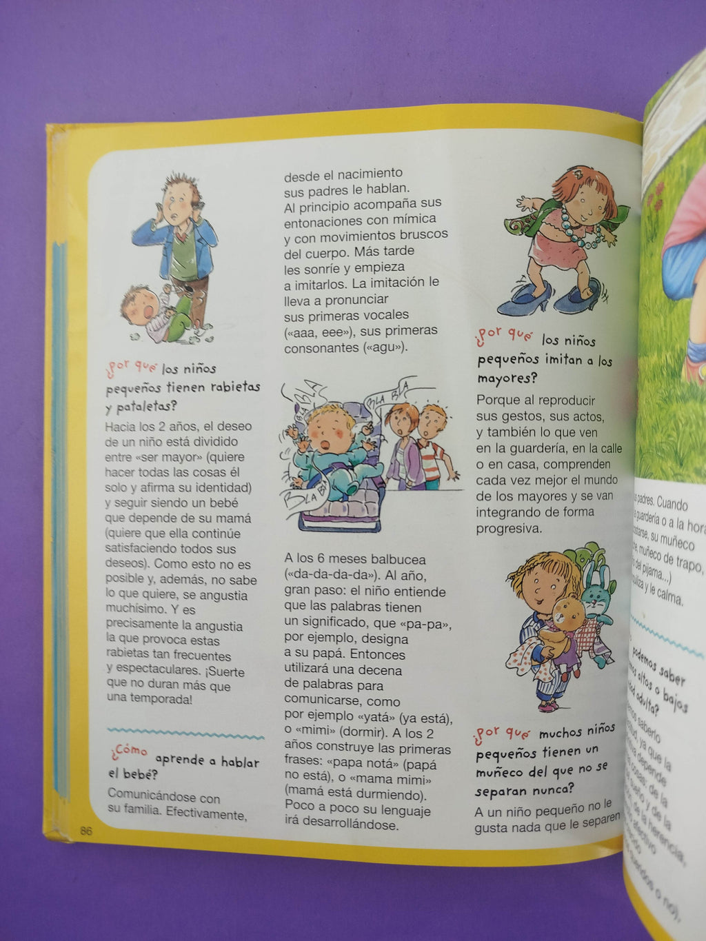 Diccionario por qué cómo: Para responder las preguntas de los niños el cuerpo by Emilie Beaumont