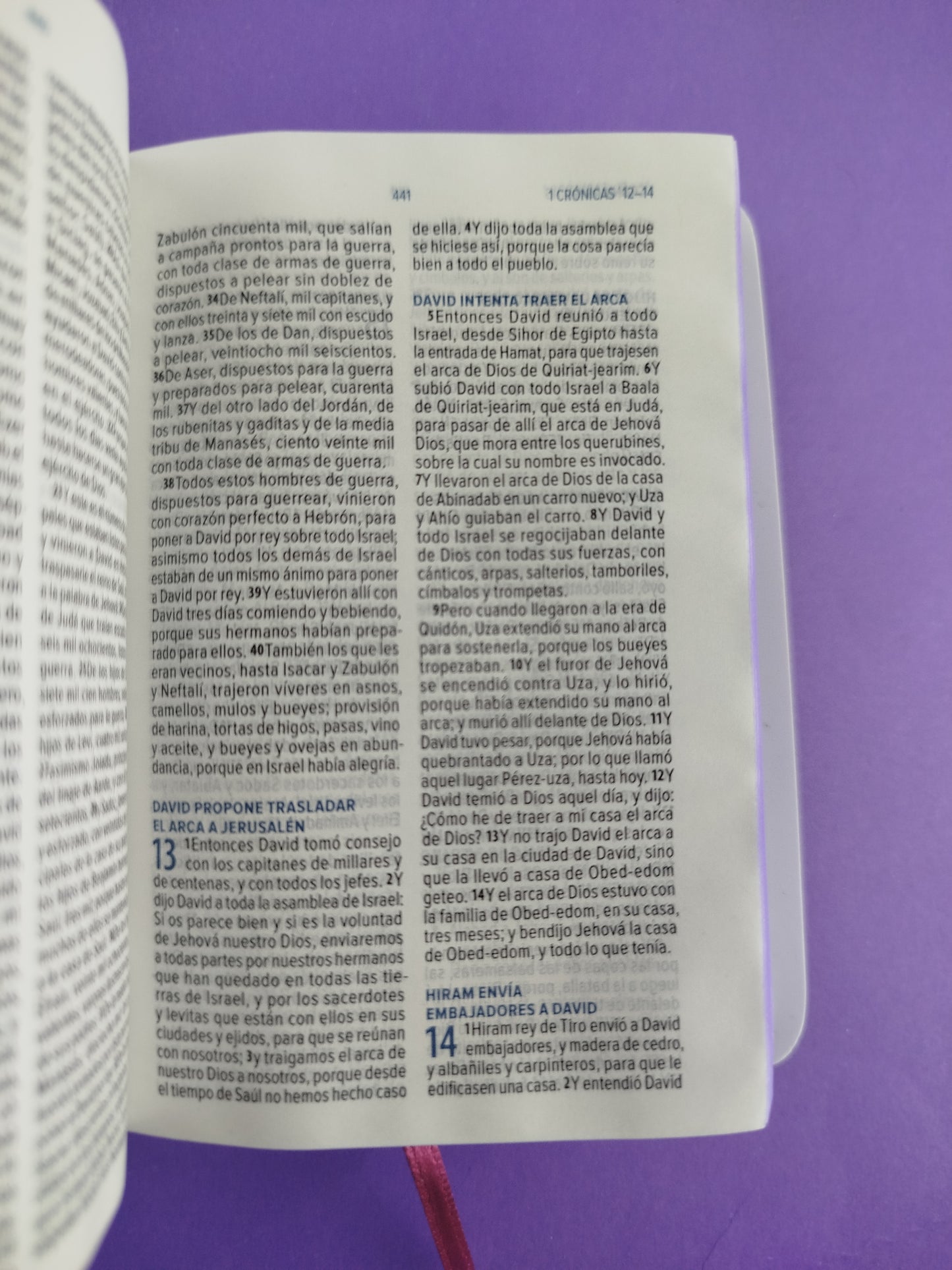 Biblia mini vinilo especial canto morado