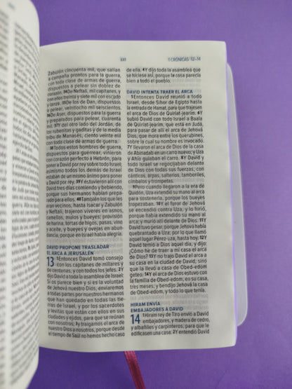 Biblia mini vinilo especial canto morado