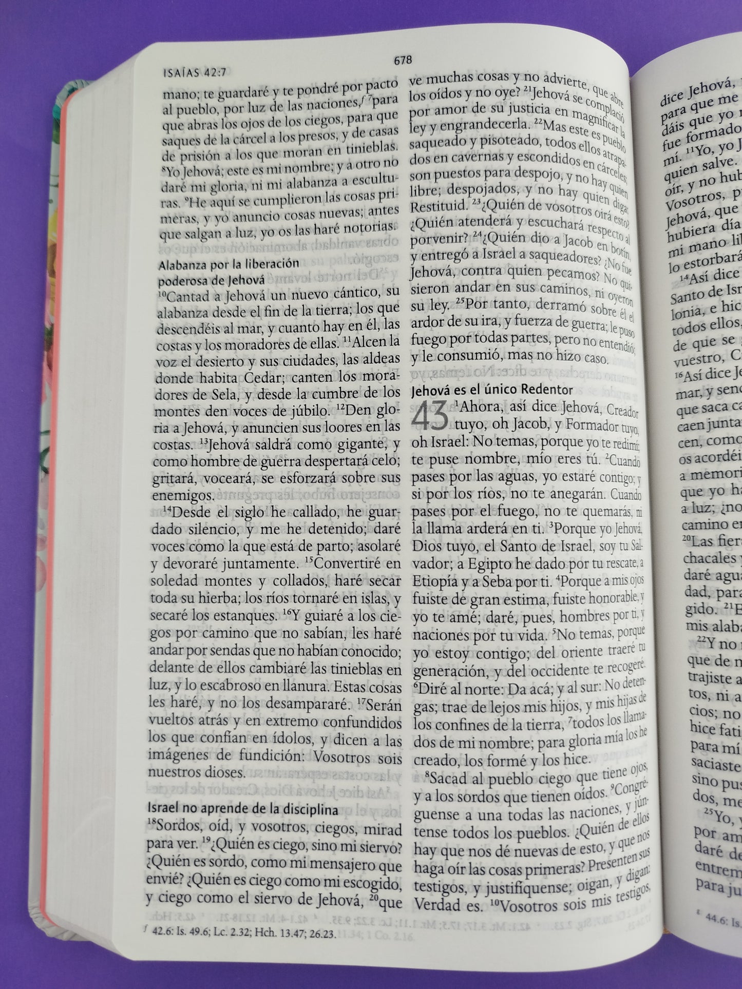 Biblia rvr 1960 nombres de Dios letra grande nude flores tapa dura