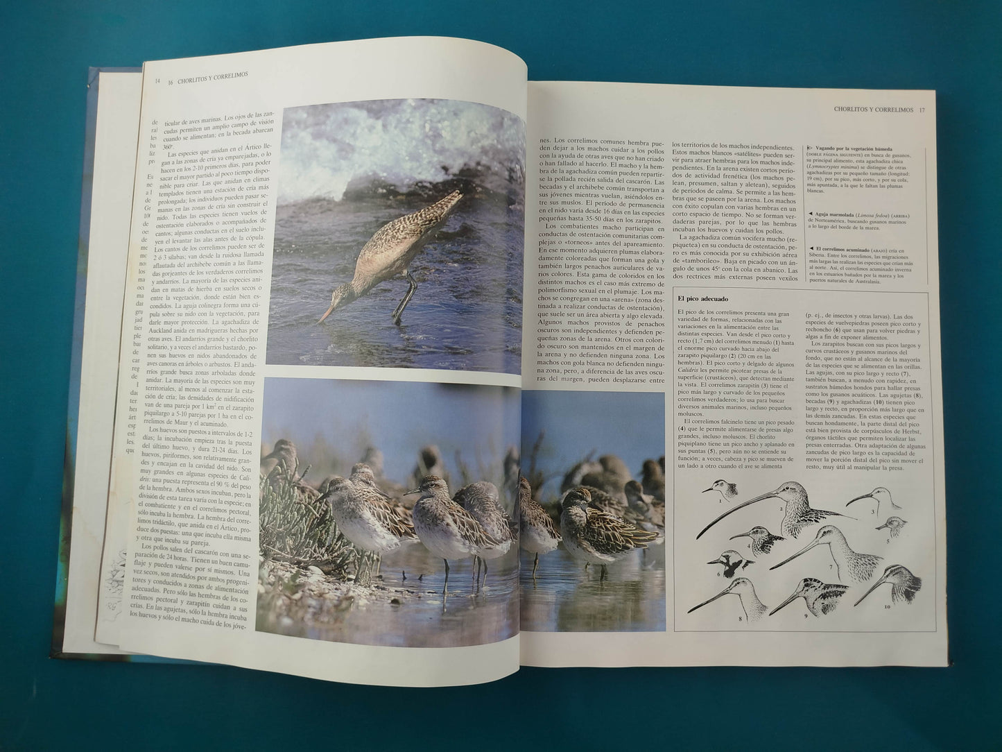 Enciclopedia de los Animales Aves tomo 2