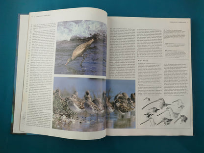 Enciclopedia de los Animales Aves tomo 2