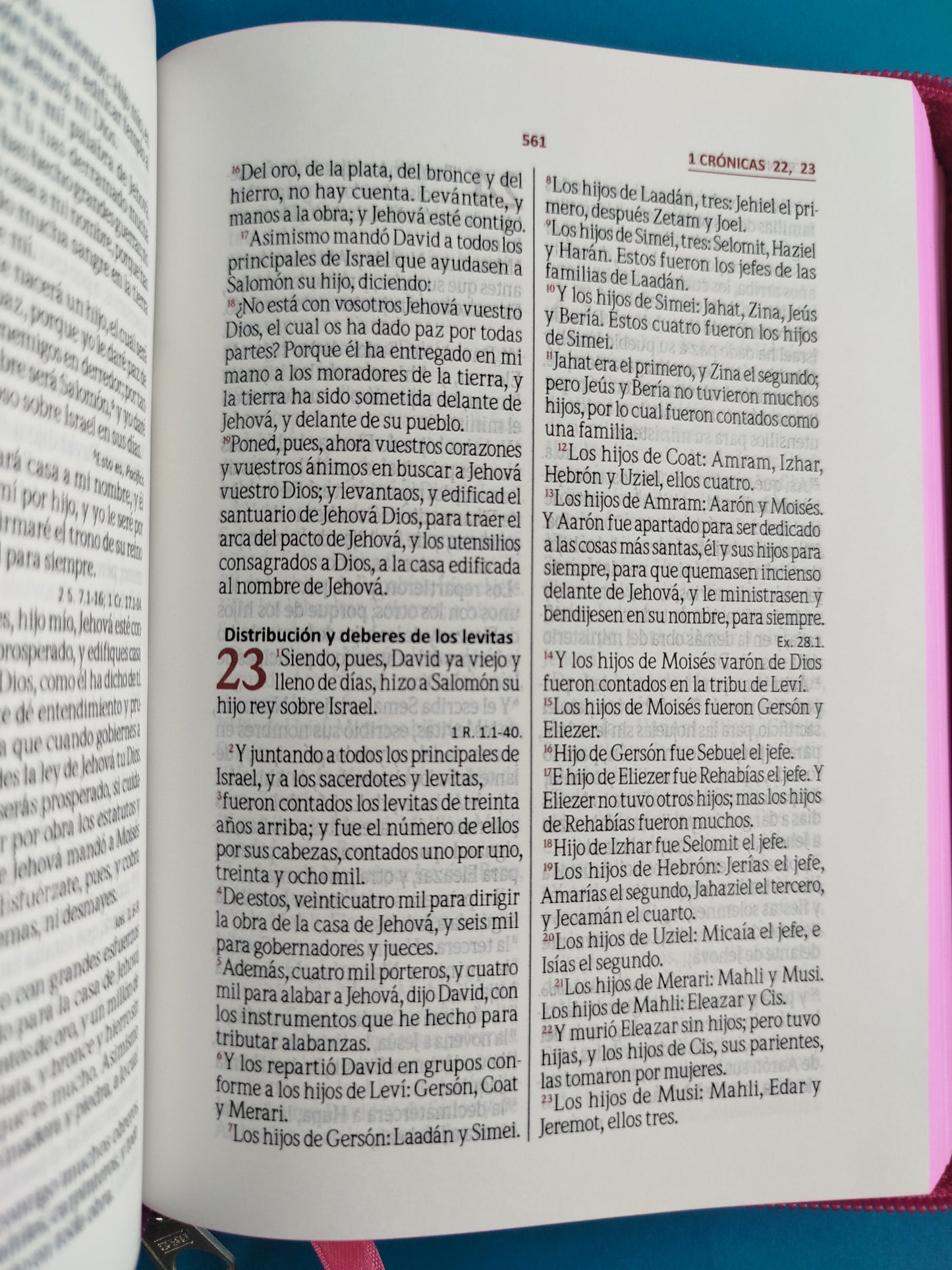 Biblia pequeña fucsia promoción