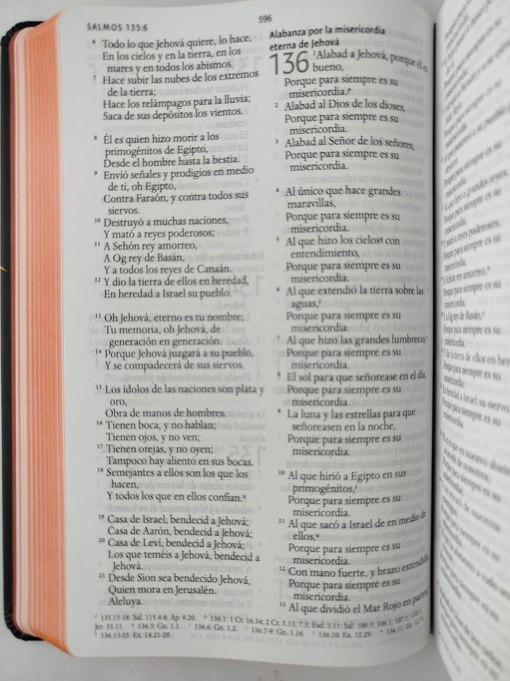 Biblia RVR 1960 letra grande tamaño manual, TD León de Judá marrón (Edición cantos pintados) by Cipriano Valera