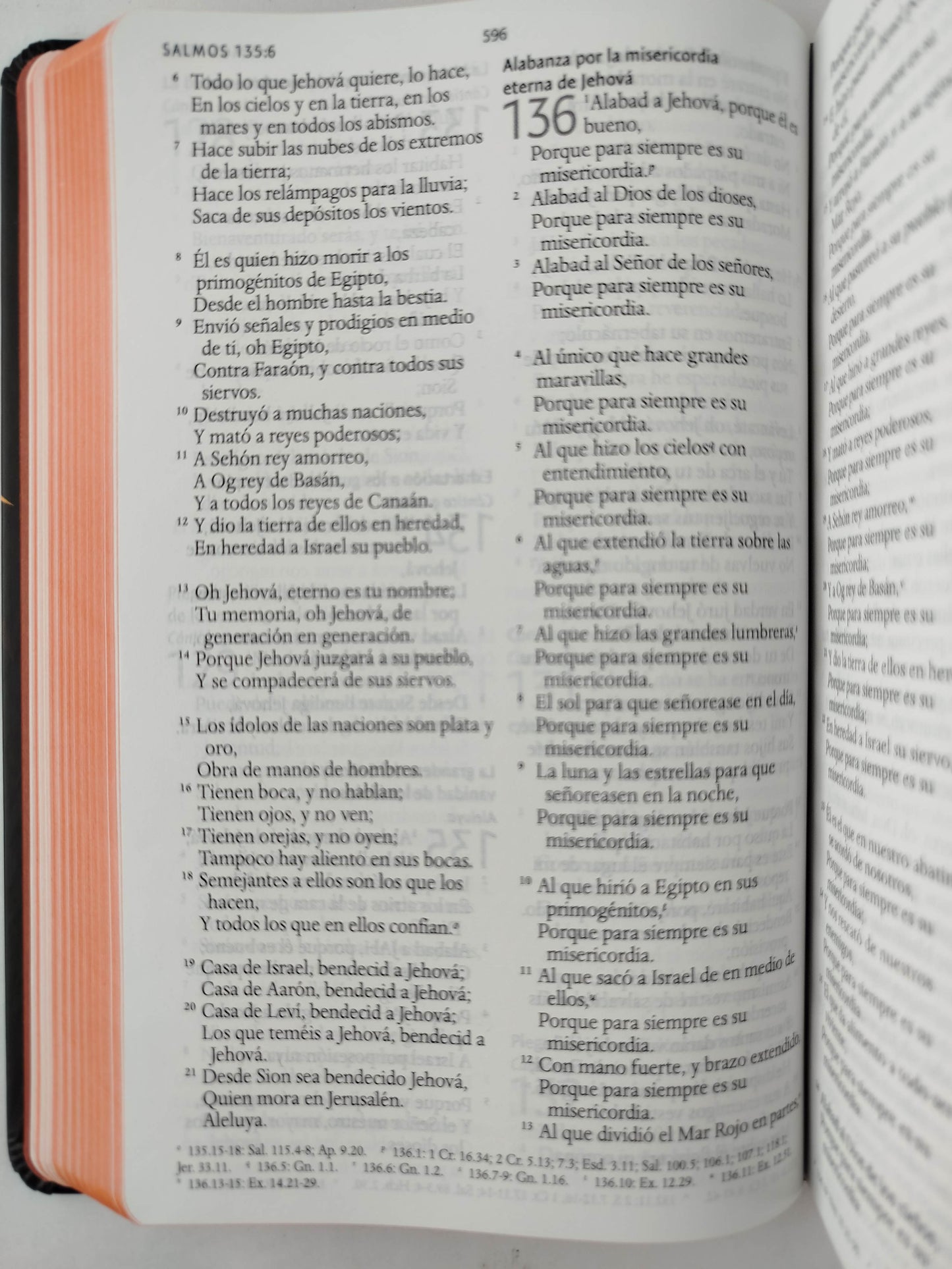 Biblia RVR 1960 letra grande tamaño manual, TD León de Judá marrón (Edición cantos pintados) by Cipriano Valera