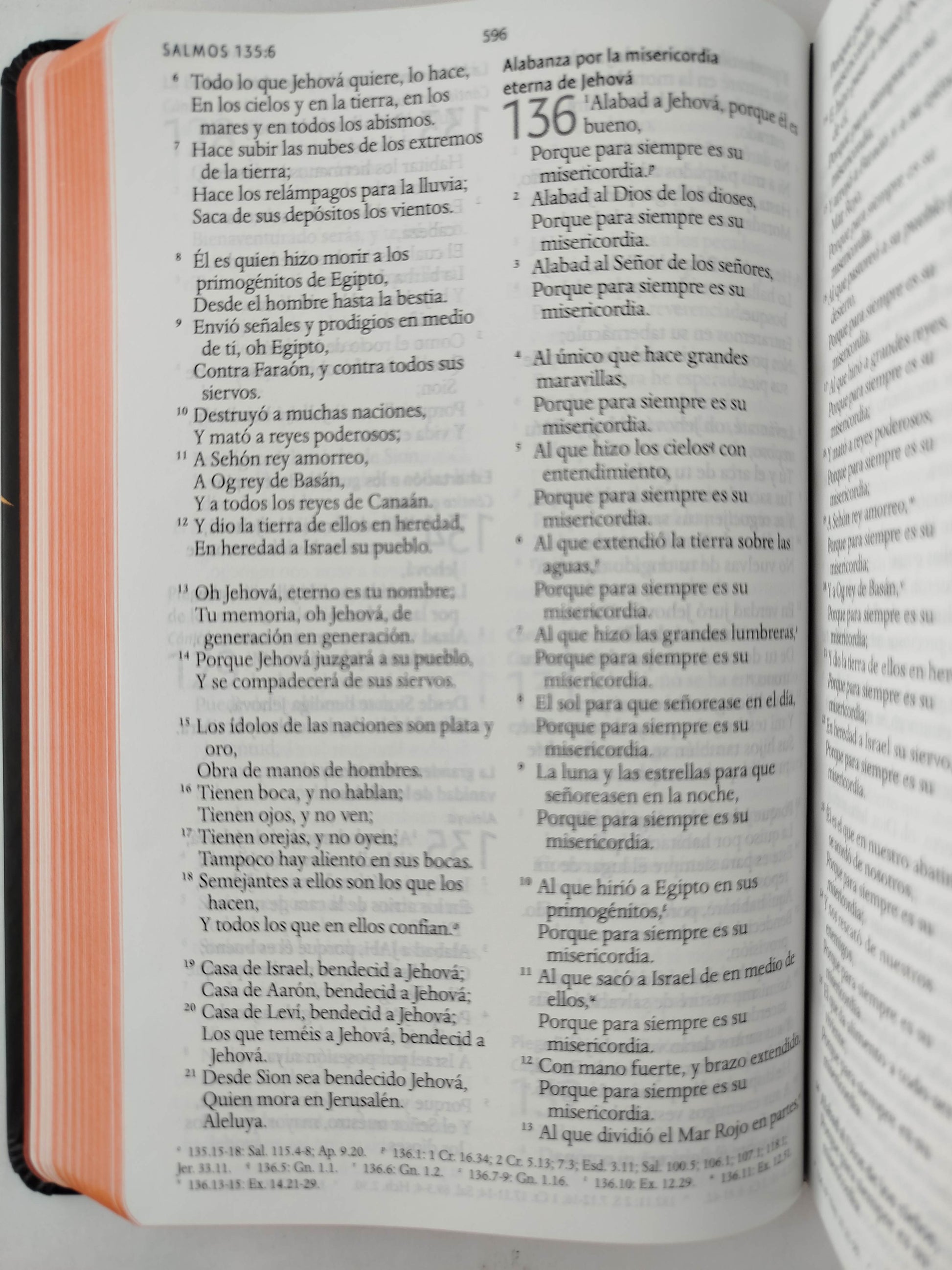 Biblia RVR 1960 letra grande tamaño manual, TD León de Judá marrón (Edición cantos pintados) by Cipriano Valera