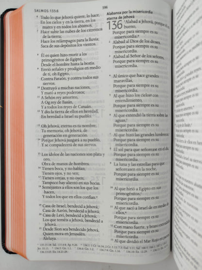Biblia RVR 1960 letra grande tamaño manual, TD León de Judá marrón (Edición cantos pintados) by Cipriano Valera