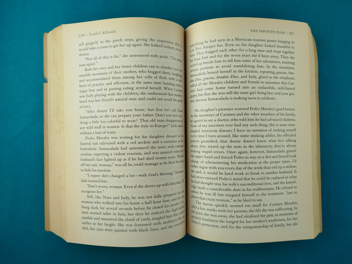 The Infinite Plan by Isabel Allende