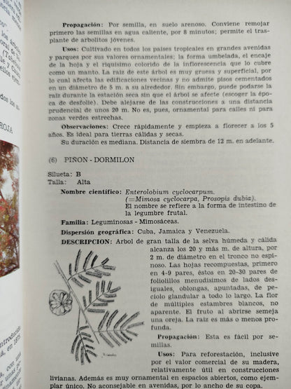La flora ornamental tropical y el espacio urbano by Lyon caldas de borrero