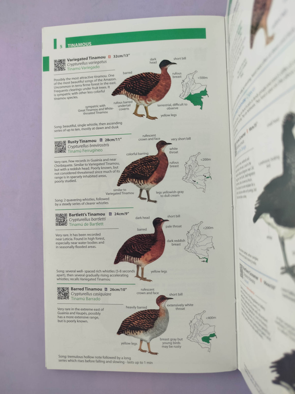 Field guide to the birds of Colombia by Miles McMullan