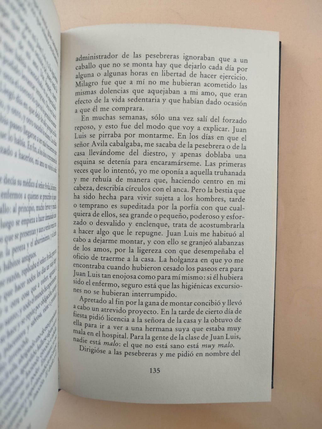 El moro by José Manuel Marroquín