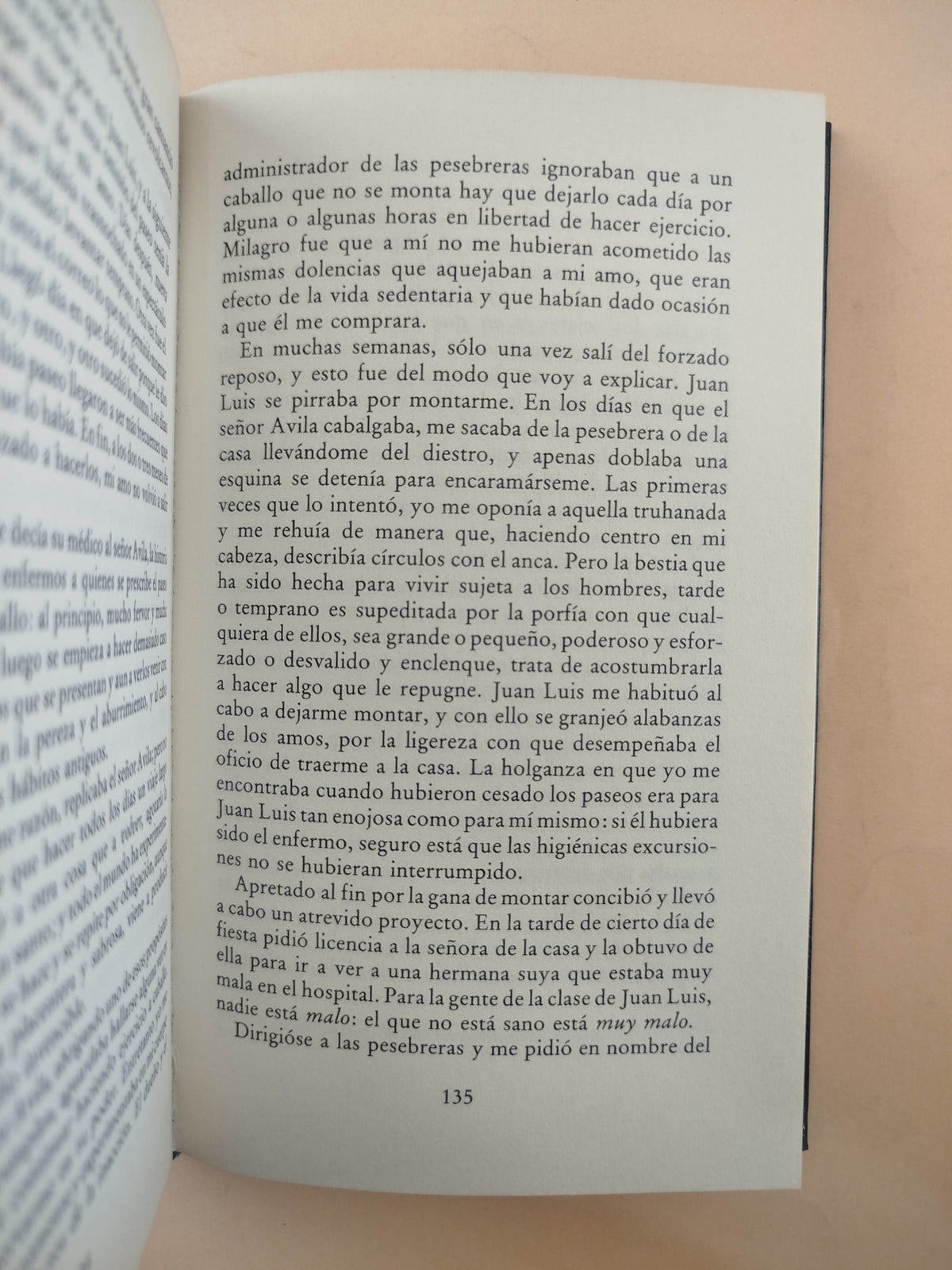 El moro by José Manuel Marroquín