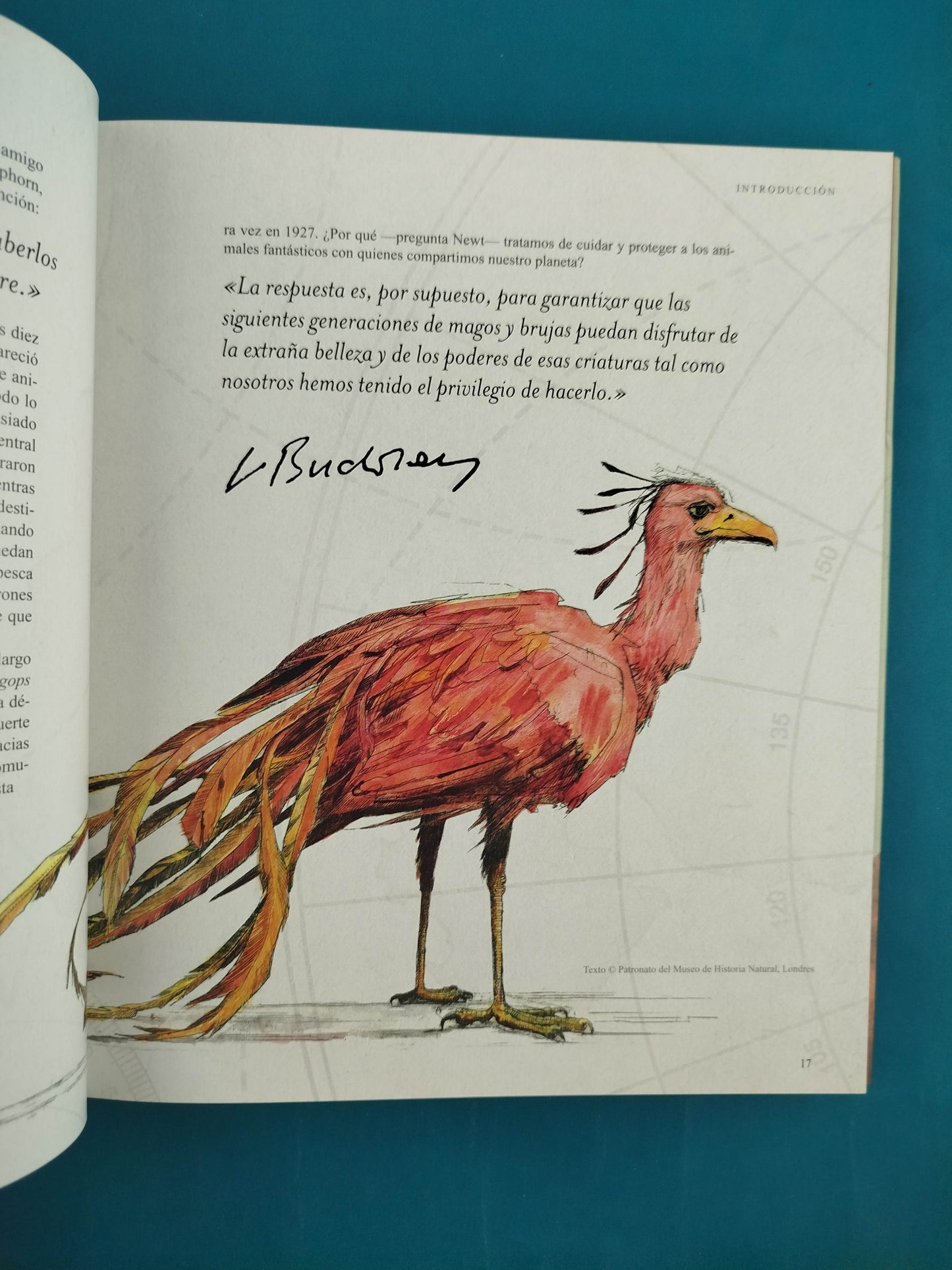 Animales fantásticos maravillas de la naturaleza