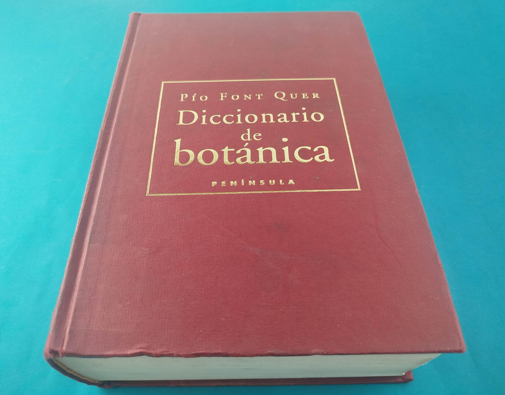 Diccionario de botánica by Pio Font Quer