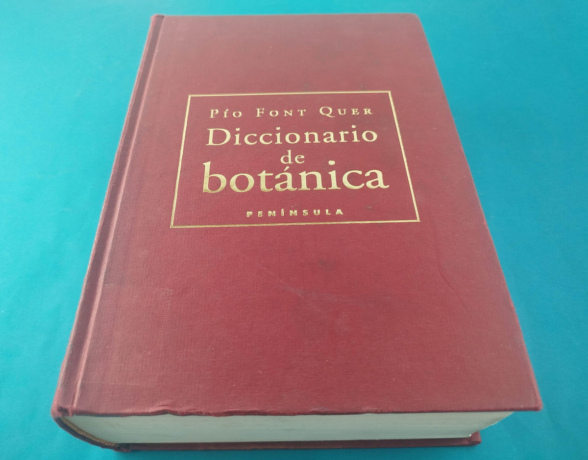 Diccionario de botánica by Pio Font Quer