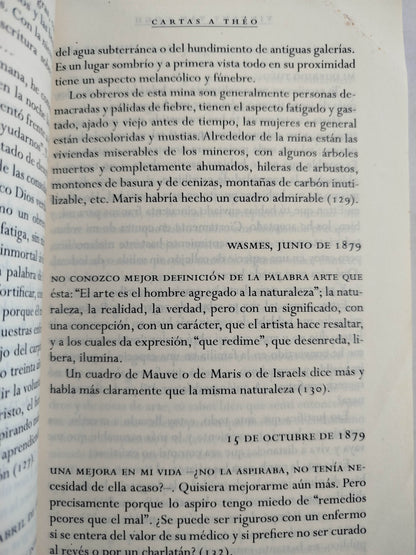 Cartas a Théo by Vincent Van Gogh