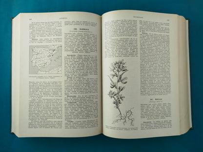 Plantas medicinales el Dioscórides renovado