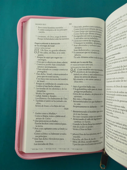 Biblia RVR 1960 Letra Grande Estuche Rosada