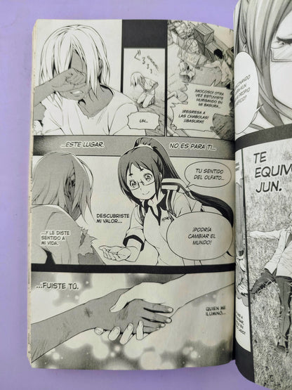 Food wars! shokugeki no soma. Tomo 13