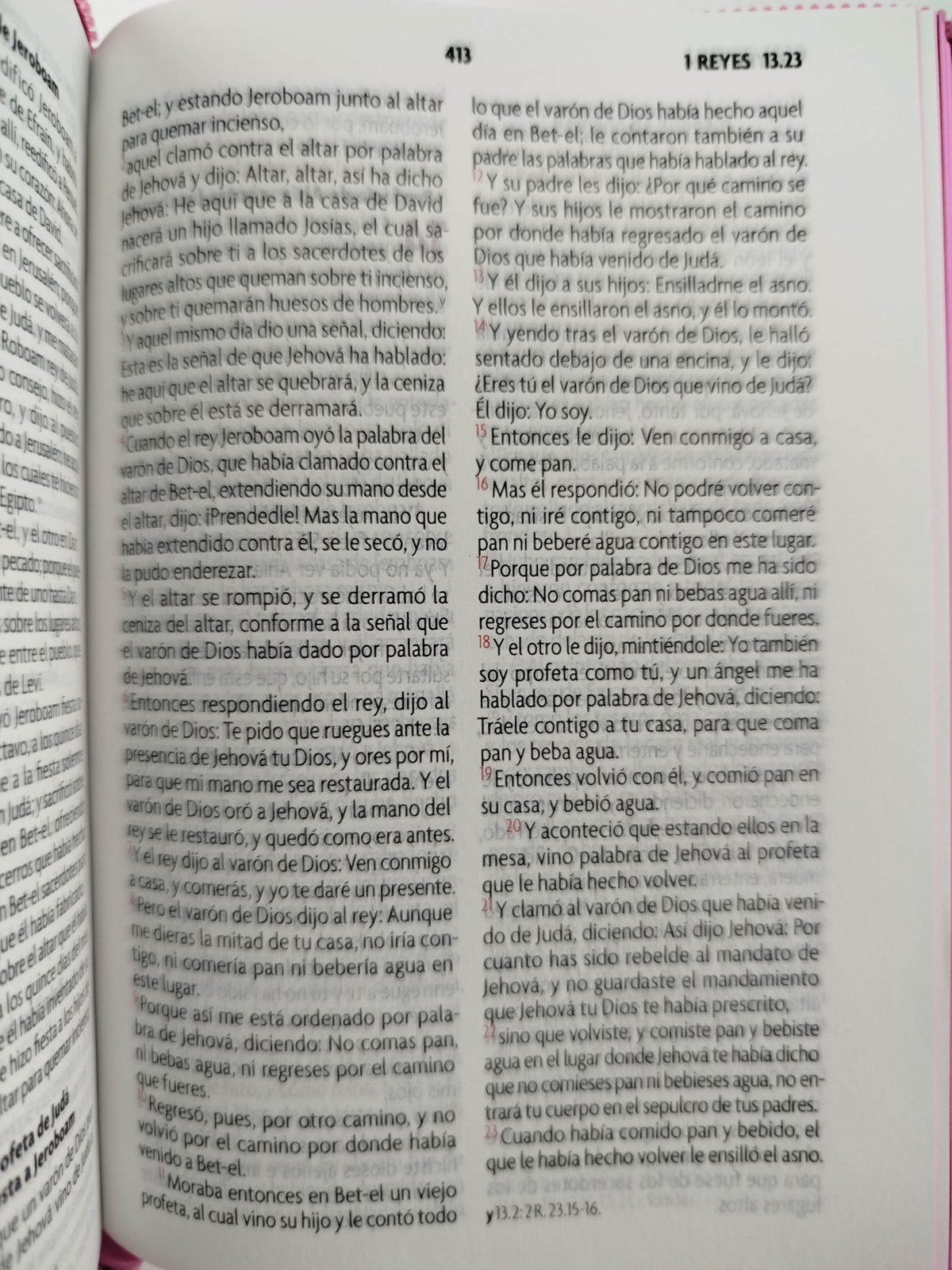 Biblia Amigos por siempre fucsia by Reina valera 1960