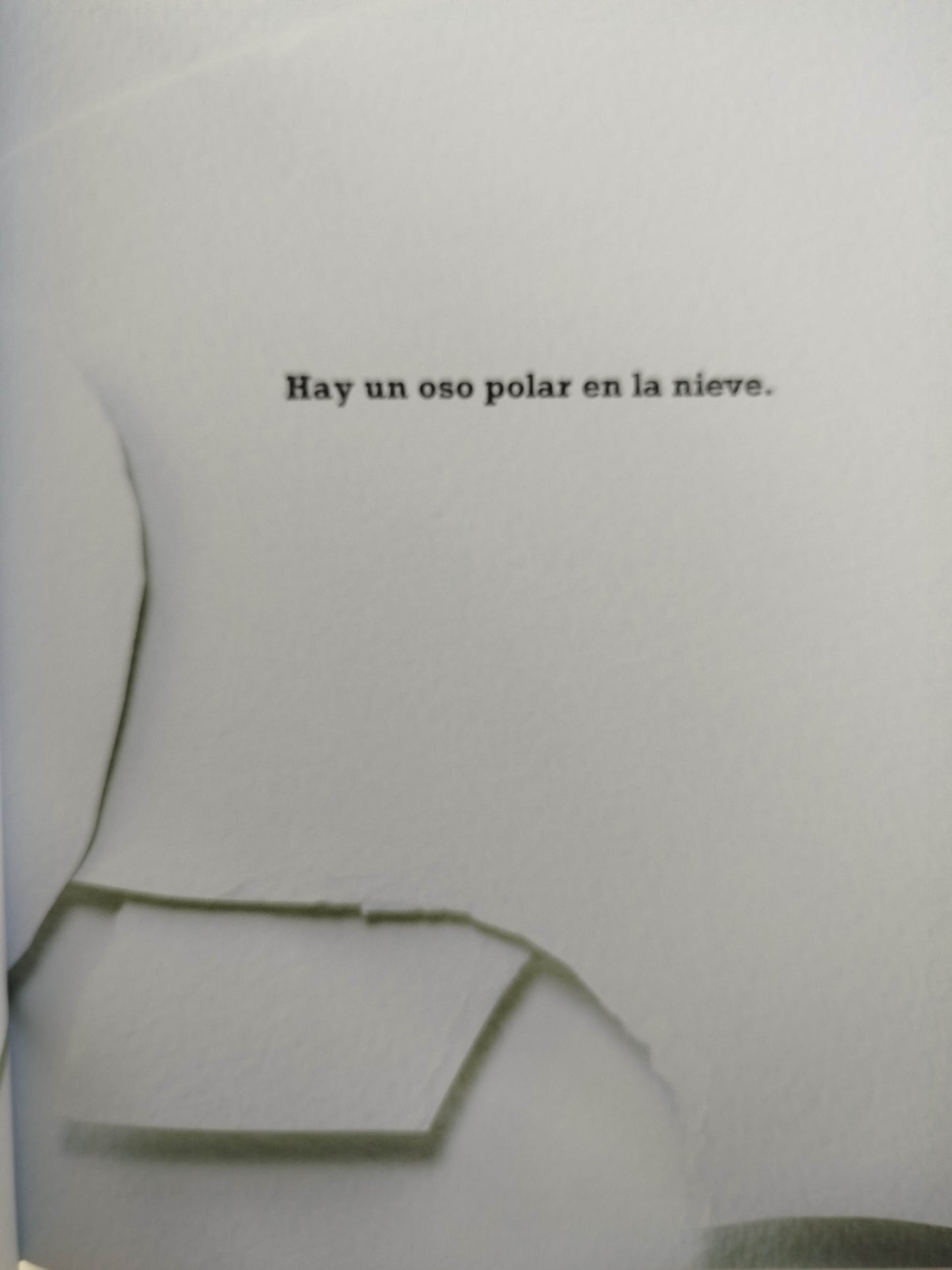 Un Oso Polar En La Nieve by Mac Barnett