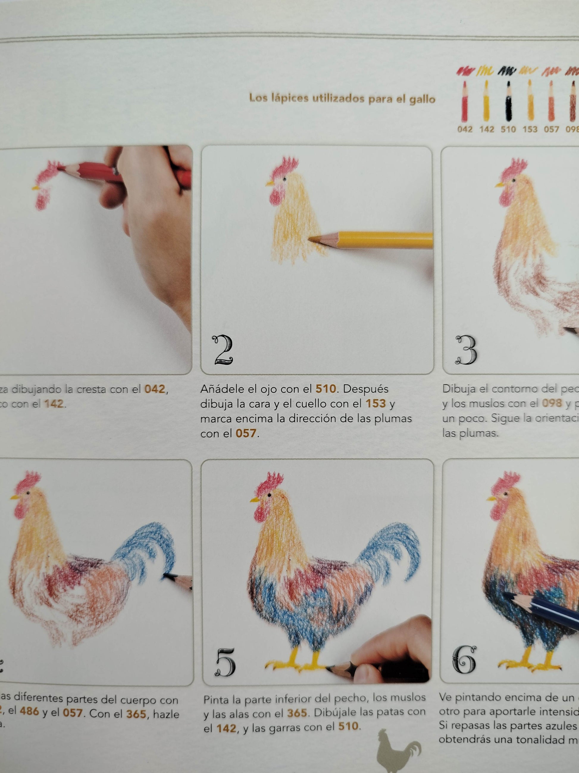 Dibuja todo tipo de aves by Ai Akikusa