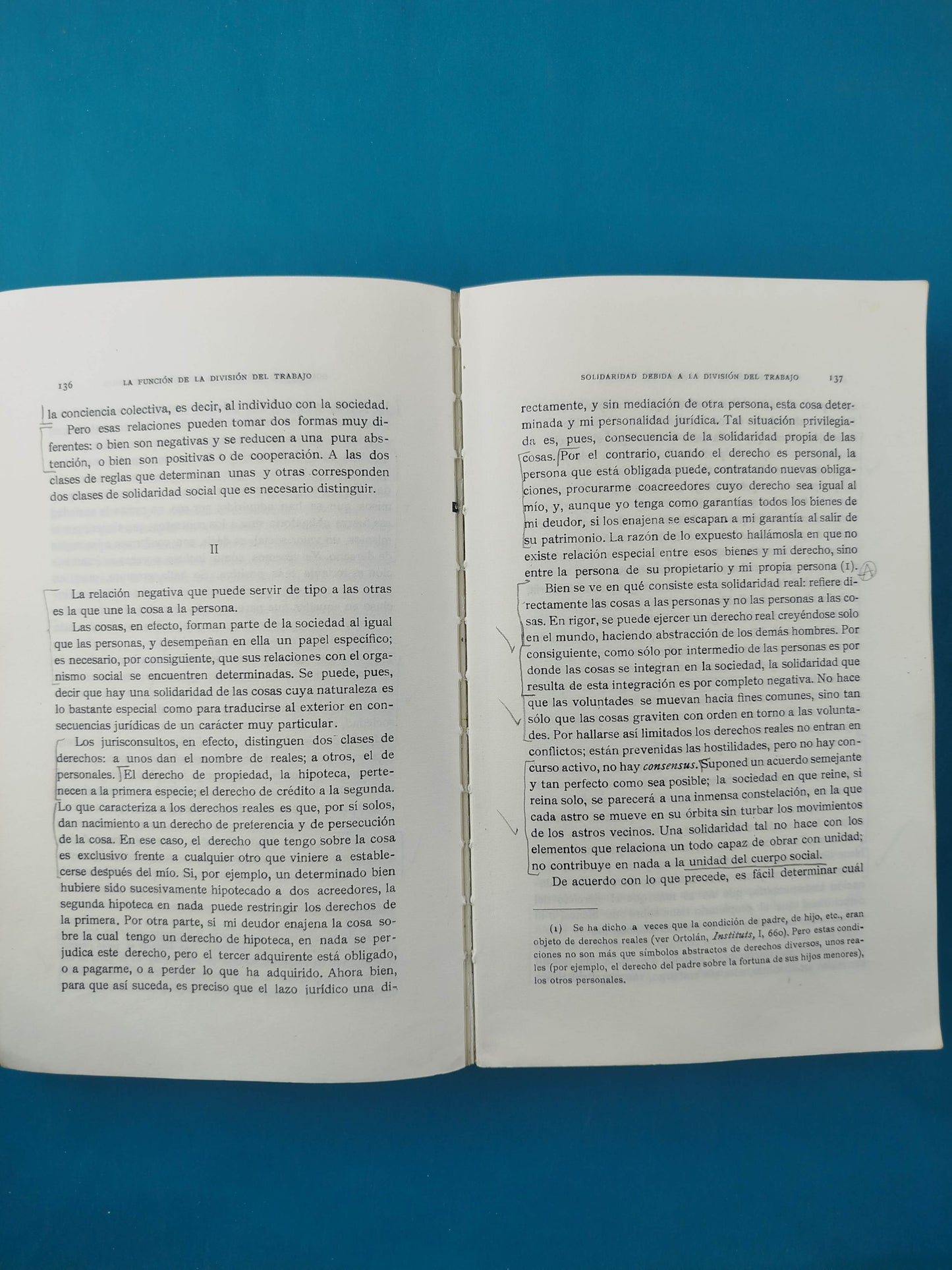 La división del trabajo social